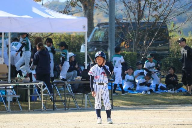 �`�[���ʐ^