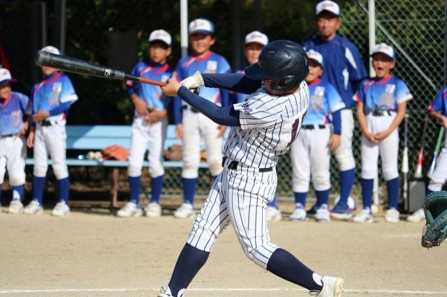 �`�[���ʐ^