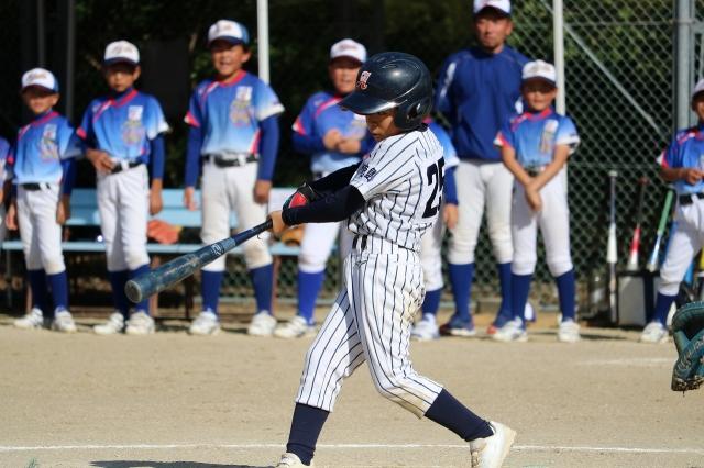 �`�[���ʐ^