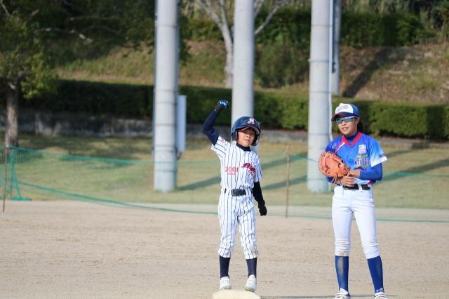 �`�[���ʐ^