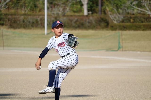 �`�[���ʐ^