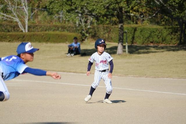 �`�[���ʐ^