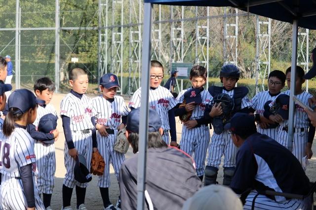 �`�[���ʐ^