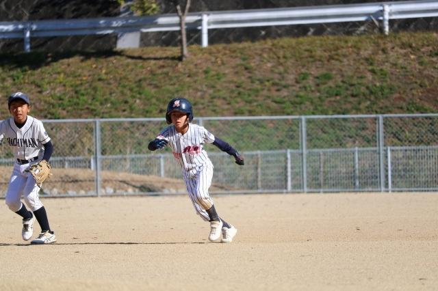 �`�[���ʐ^