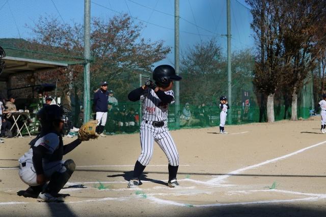 �`�[���ʐ^