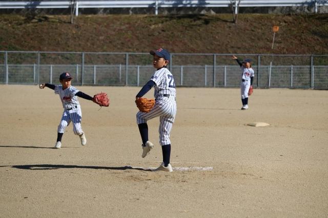 �`�[���ʐ^