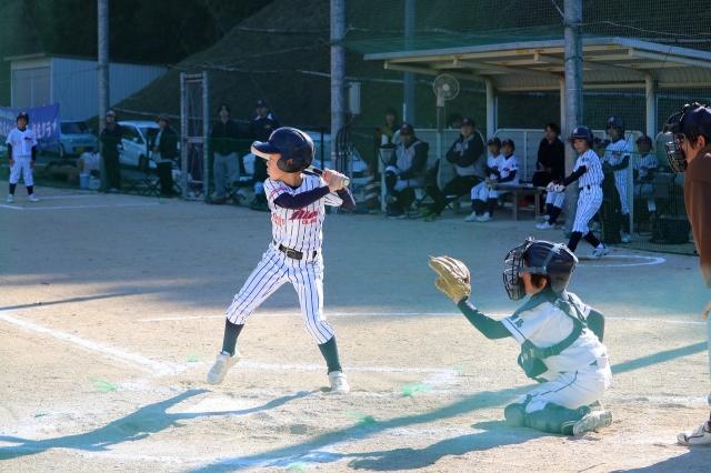 �`�[���ʐ^