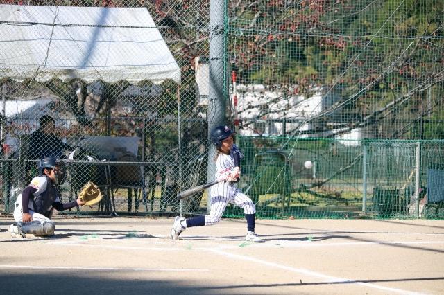 �`�[���ʐ^