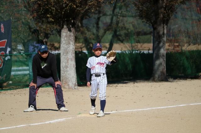 �`�[���ʐ^