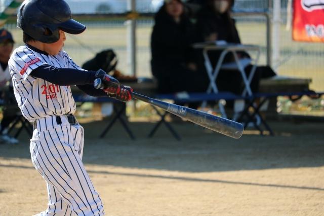 �`�[���ʐ^