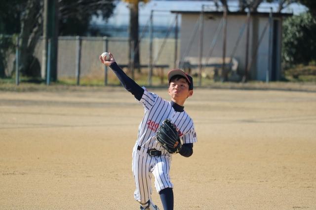 �`�[���ʐ^