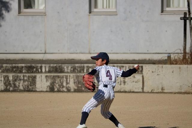 �`�[���ʐ^