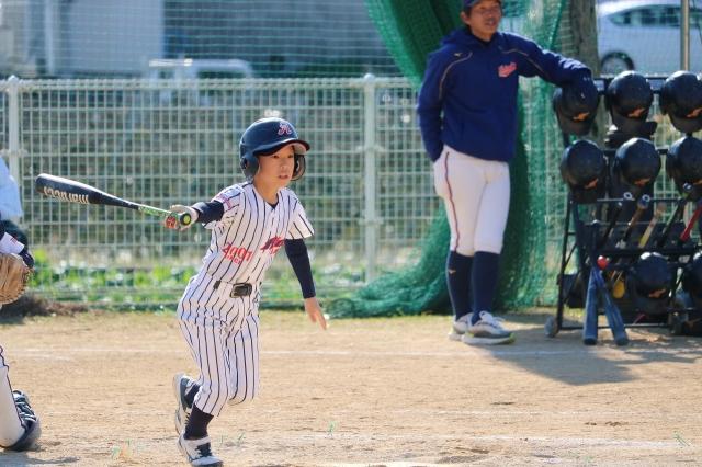 �`�[���ʐ^