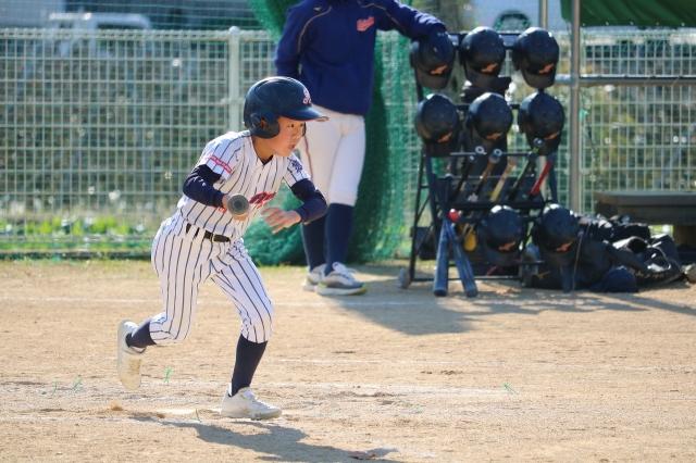 �`�[���ʐ^