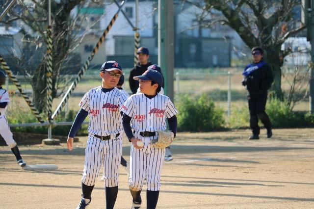 �`�[���ʐ^