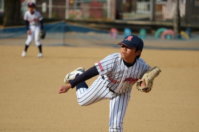 �`�[���ʐ^