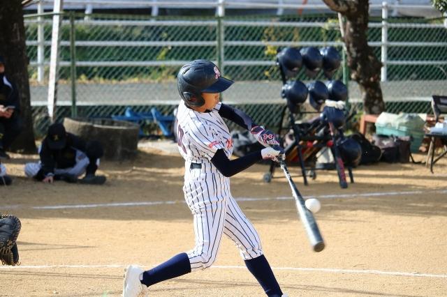 �`�[���ʐ^