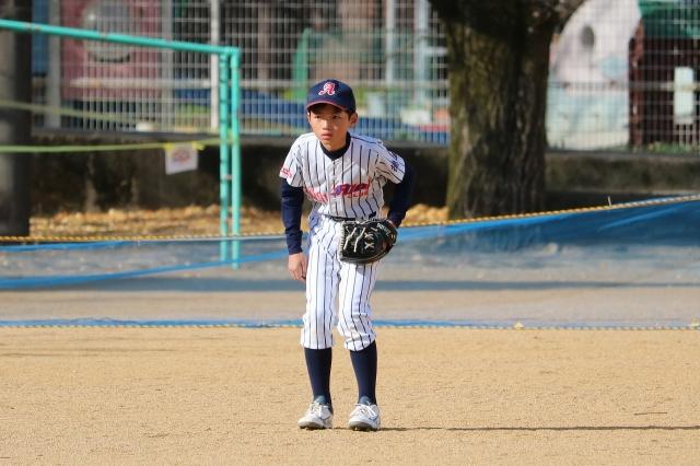 �`�[���ʐ^