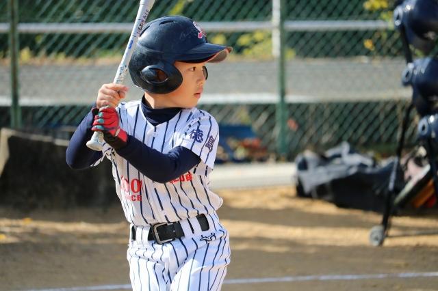 �`�[���ʐ^