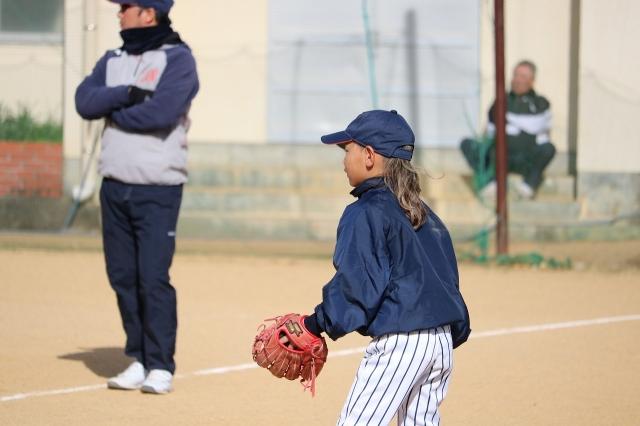 �`�[���ʐ^