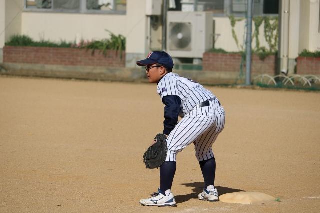 �`�[���ʐ^