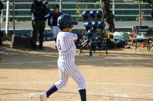 �`�[���ʐ^