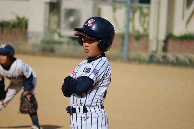 �`�[���ʐ^