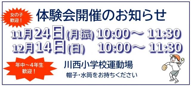 �`�[���ʐ^