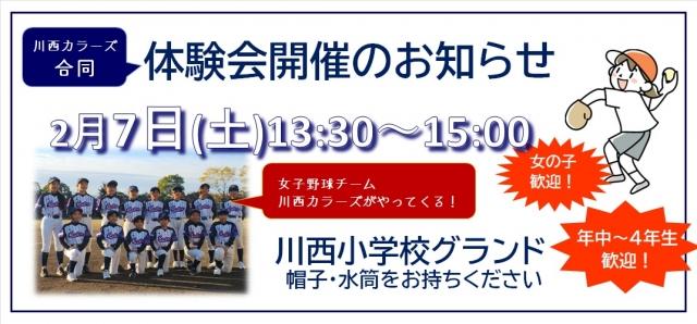 �`�[���ʐ^