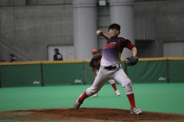 �`�[���ʐ^