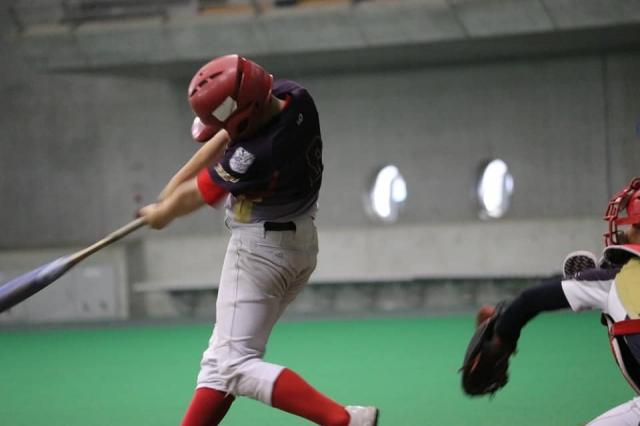 �`�[���ʐ^