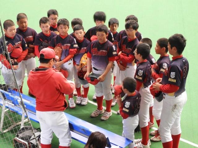 �`�[���ʐ^