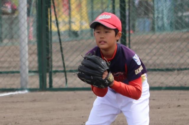 �`�[���ʐ^