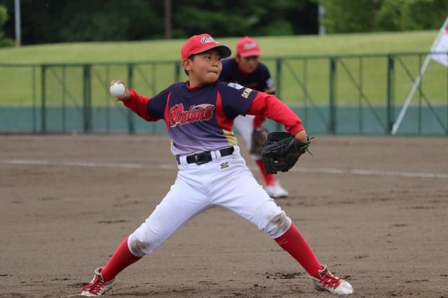 �`�[���ʐ^