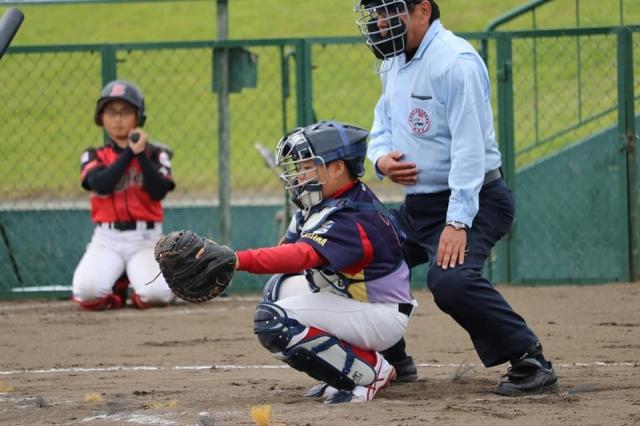 �`�[���ʐ^