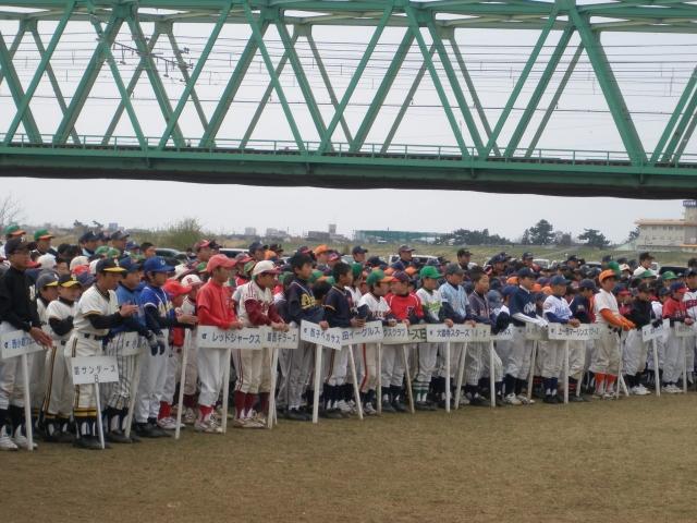 �`�[���ʐ^