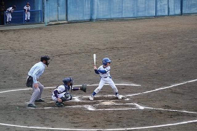 �`�[���ʐ^