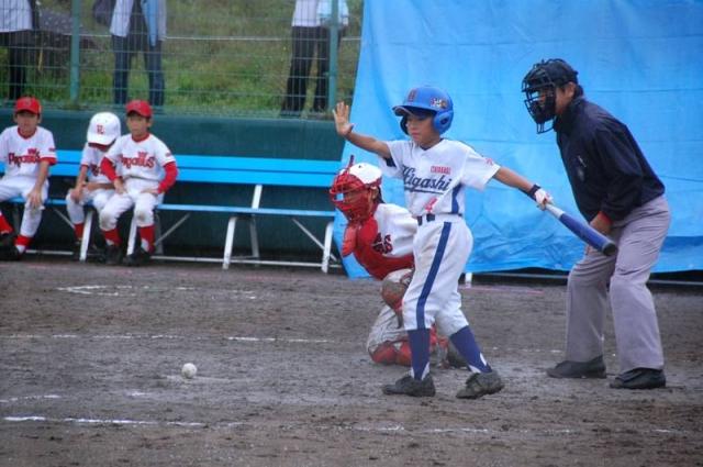 �`�[���ʐ^