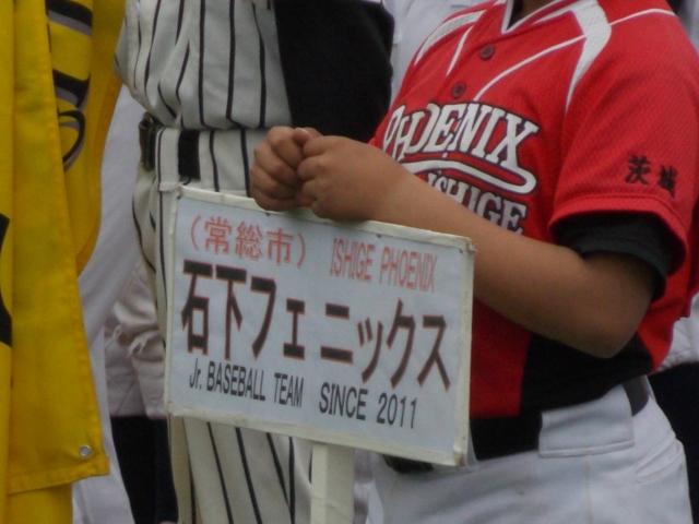 �`�[���ʐ^