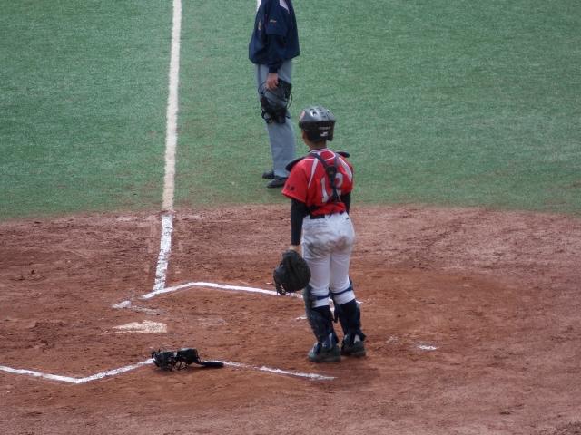 �`�[���ʐ^