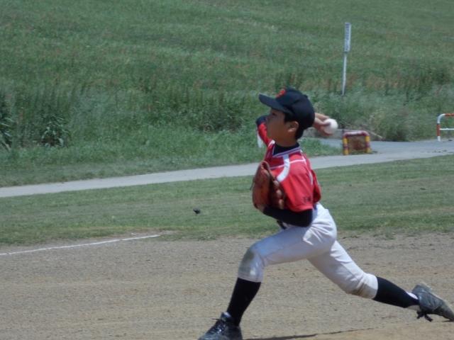 �`�[���ʐ^