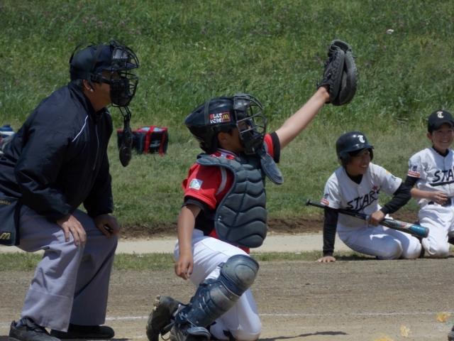 �`�[���ʐ^