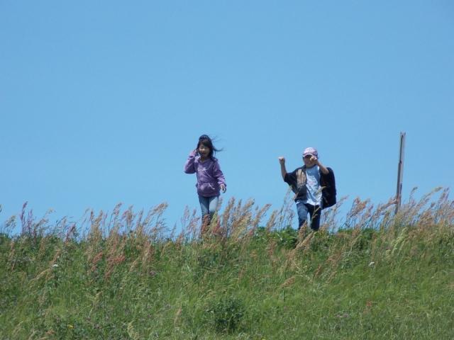 �`�[���ʐ^