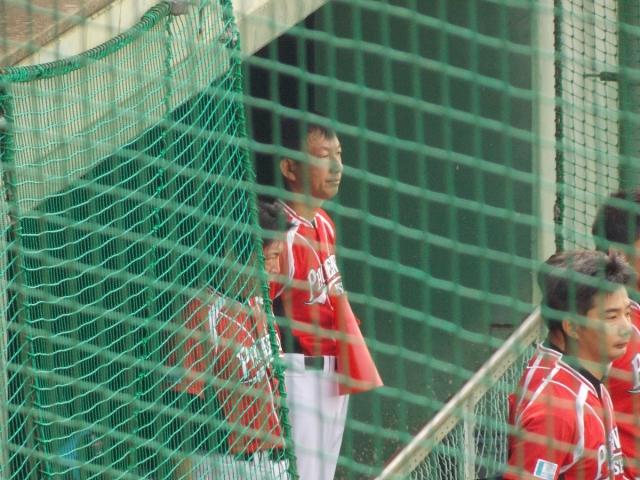 �`�[���ʐ^