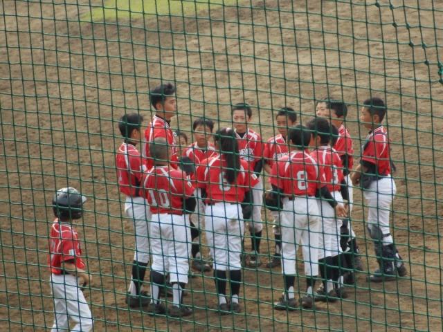 �`�[���ʐ^