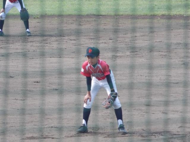 �`�[���ʐ^