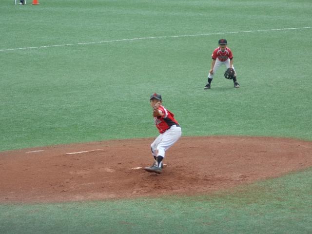 �`�[���ʐ^