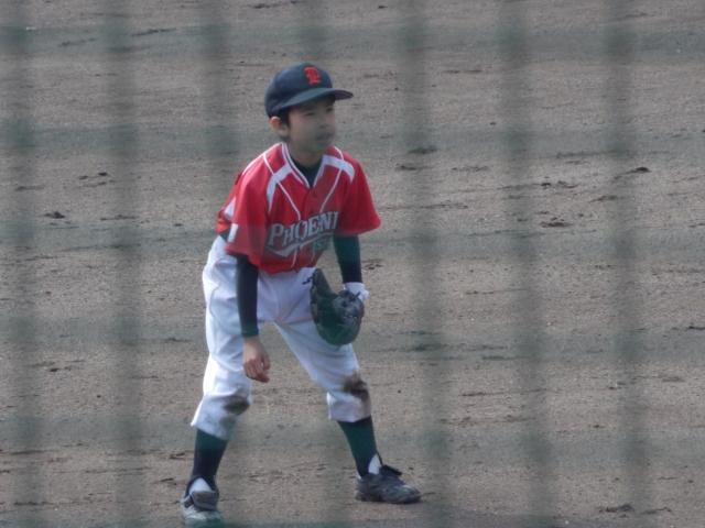 �`�[���ʐ^