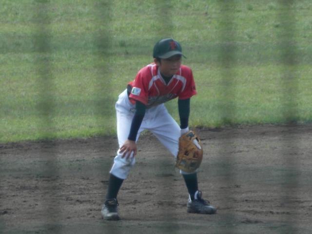 �`�[���ʐ^