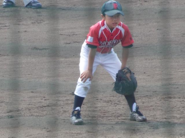 �`�[���ʐ^